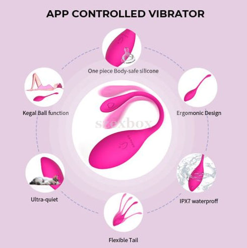 Serena Mini Insertable Vibrator Kegal Trainer Egg Bluetooth Remote Rechargeable