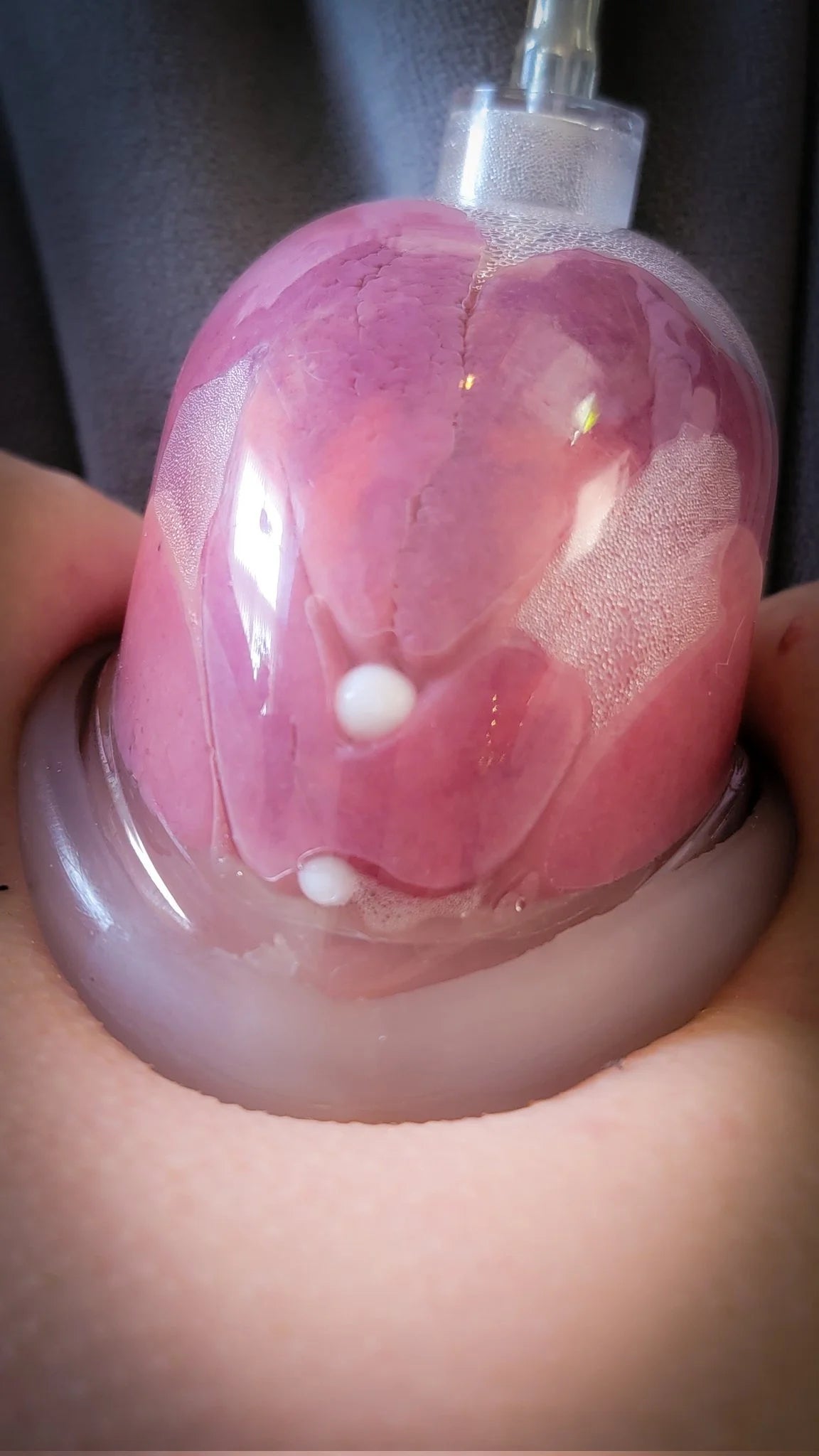 Frohle Froehle Replacement Extreme Pussy Vagina Suction Cup Cylinder
